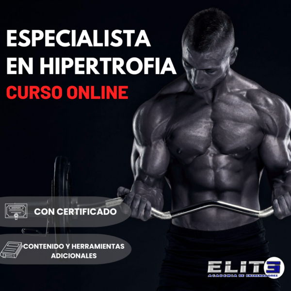ESPECIALISTA EN HIPERTROFIA